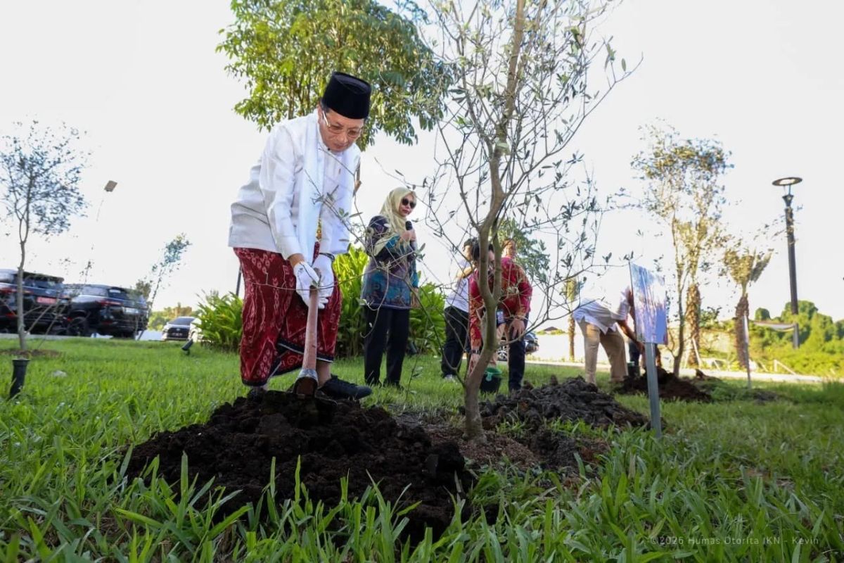 Jangan Takut Krisis Pangan, Nabi Yusuf AS Mengajarkan Cara Menghadapinya